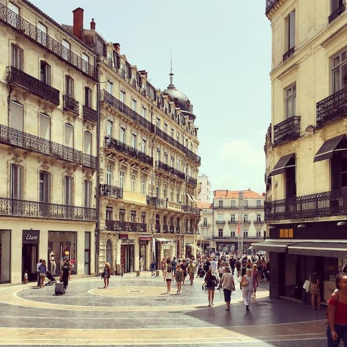 Loft Coeur Historique Montpellier Lejlighed Eksteriør billede